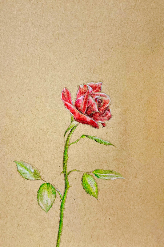 Dainty Rose Art Print