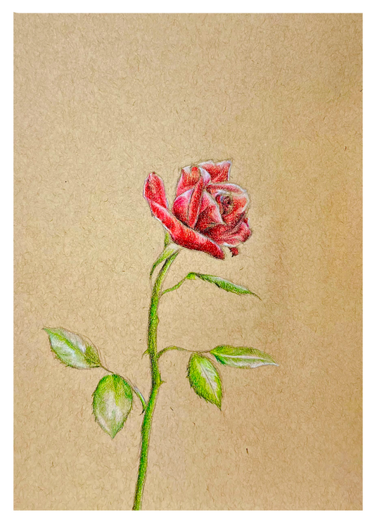 Dainty Rose Valentine's Day Card
